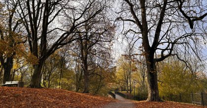 park Dąbrowskiego2023 (10)